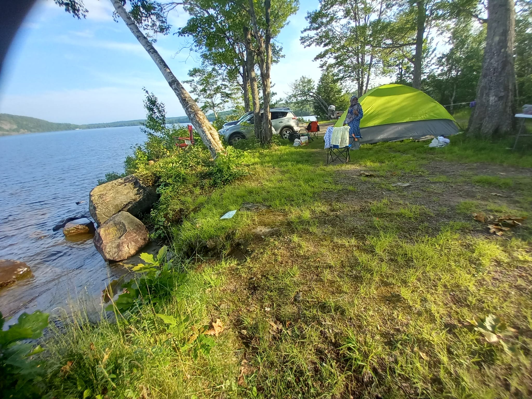 Camping setup under the trees