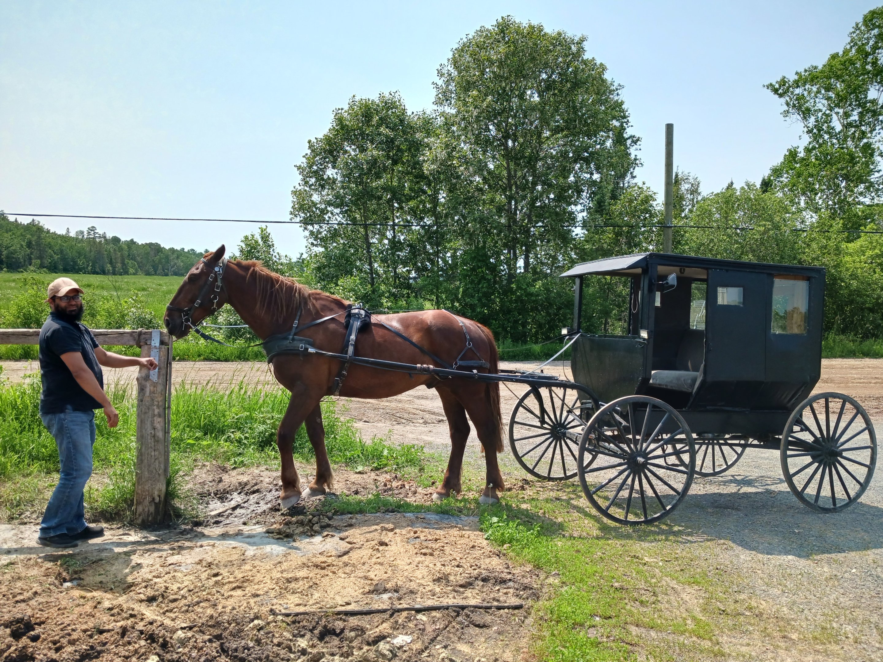 Horse riding activity