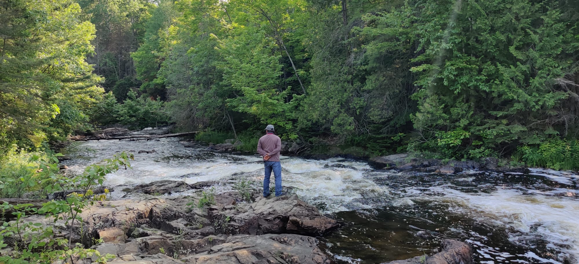Camp group of outdoor enthusiasts gathering in nature